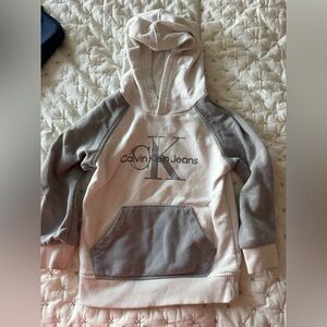 Calvin Klein Kids Hoodie in Gray and Cream